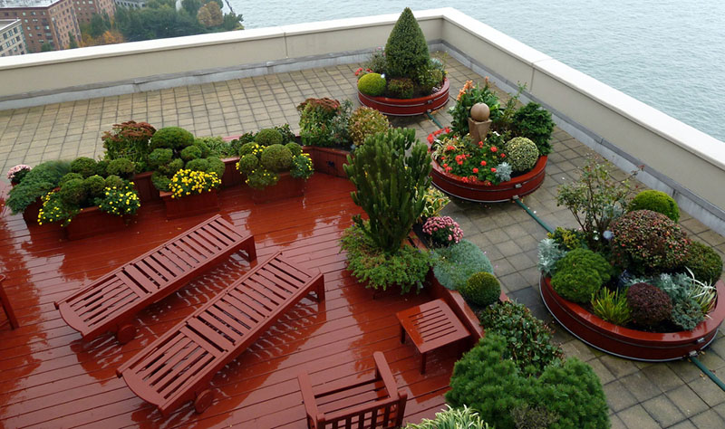 Roof Gardens